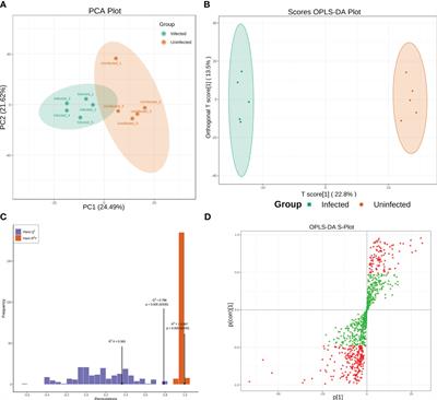Metabolic changes and potential biomarkers in "Candidatus Liberibacter solanacearum"-infected potato psyllids: implications for psyllid-pathogen interactions